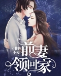 非你不爱:前妻领回家