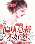 限量宠婚：偏执总裁不好惹