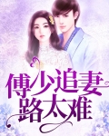 傅少追妻路太难