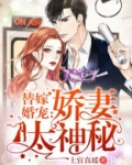 替嫁婚宠:娇妻太神秘