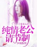 宠妻入骨：纯情老公请节制