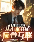 社畜逆袭:从小米开始反卷互联
