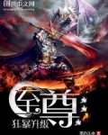 至尊狂暴升级