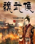 魏武侯