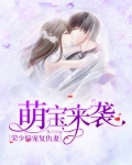 萌宝来袭：荣少偏宠复仇妻