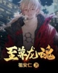 至尊龙魂