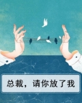 总裁，请你放了我