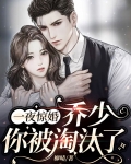 一夜惊婚:乔少,你被淘汰了