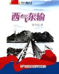 西气东输：西气东输工程开工建设
