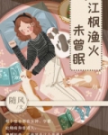 江枫渔火未曾眠