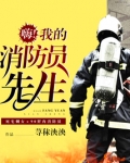 我的消防员先生