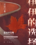 伊伊的选择