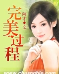 完美过程