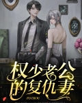 权少老公的复仇妻