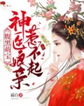 腹黑萌宝：神医娘亲惹不起